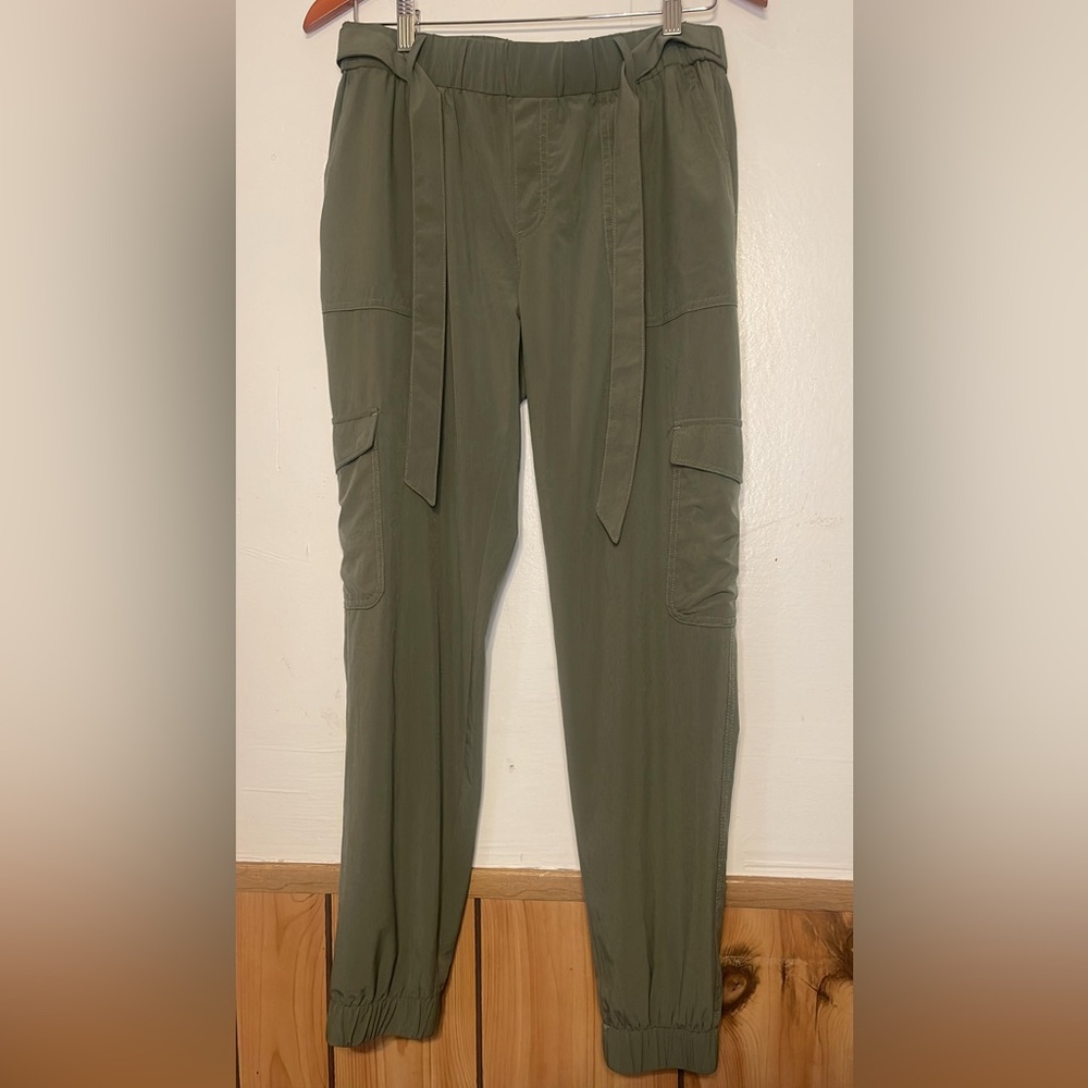Banana Republic Sage Green Trousers